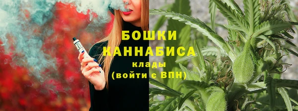 сатива Алексин