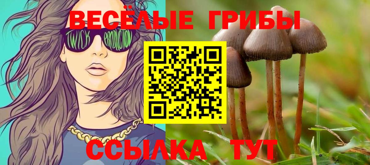 Псилоцибиновые грибы мицелий Краснокамск