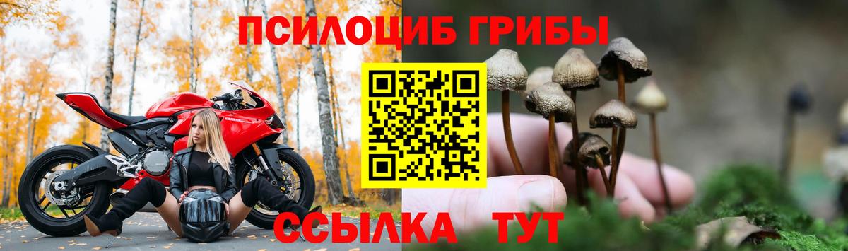 Галлюциногенные грибы GOLDEN TEACHER  Вход с VPN  Галлюциногенные грибы Cubensis  Краснокамск 